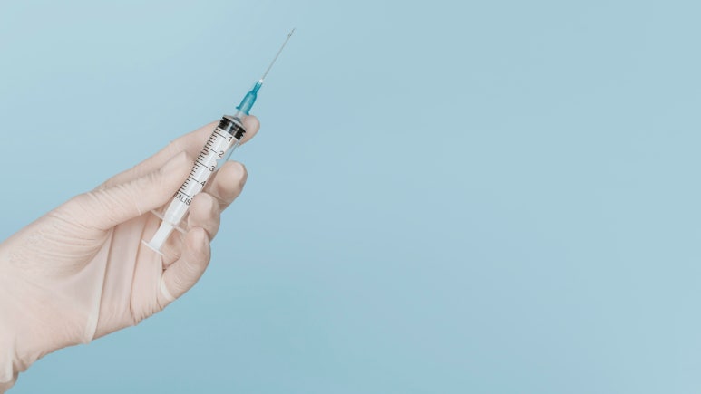 태반약침 자하거약침